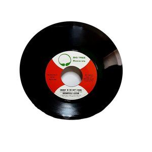Brownsville Station Smokin In The Boys Room and Barefootin 45 Record 1973